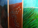 Obrazy • Paintings
