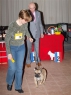 SV Diedersdorf, 02.04.2011 • Dalila Anima Canis • Feny, třída otevřená • Females, Open Class • V • Ex.