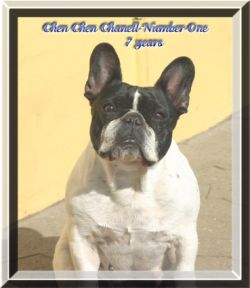 Chen-Chen CHANELL-NUMBER-ONE