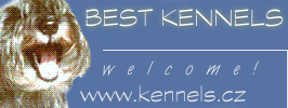 Best Kennels